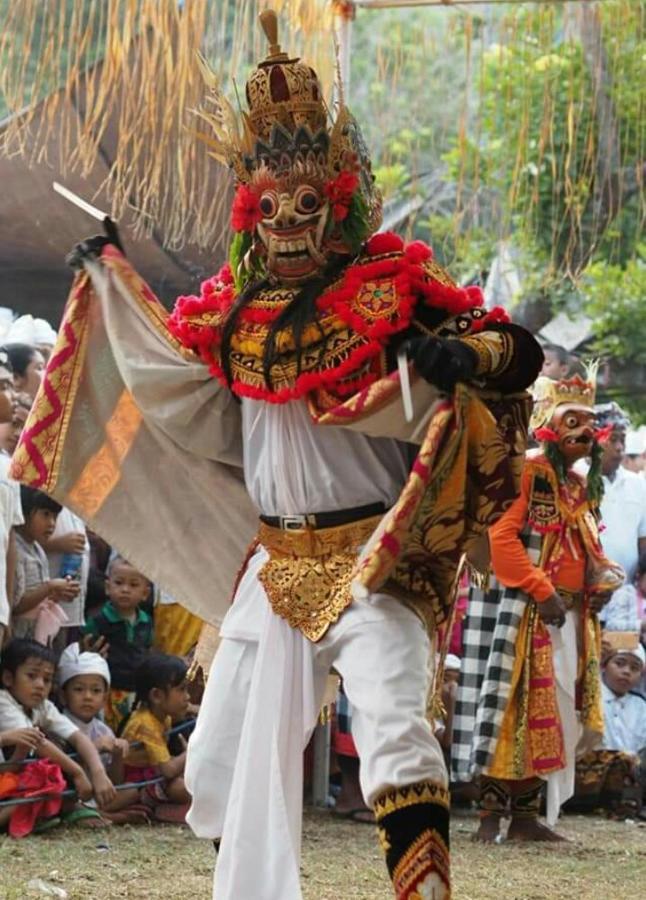 Halumba Eco Villa Bali Tejakula Ngoại thất bức ảnh